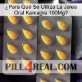 ¿Para Qué Se Utiliza La Jalea Oral Kamagra 100Mg2 cialis2